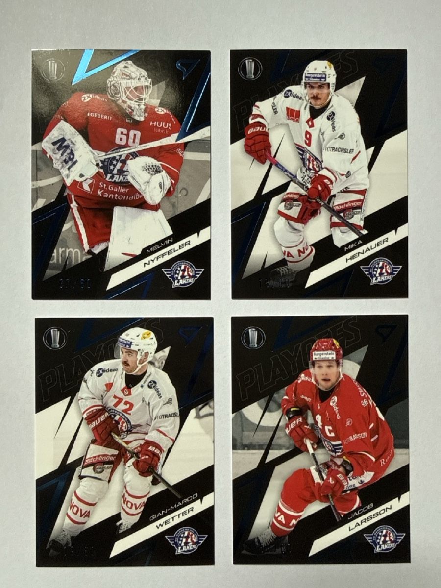 Sportzoo Carte collezionabili: Sportzoo playoff Rapperswil /60 – Nuovo e nell'imballaggio originale da Posieux venduto da figaro_nala