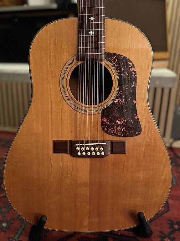 Strumenti musicali: 12-string semiakustik Gitarre Washburn – Usato da DomatEms venduto da Zagor72