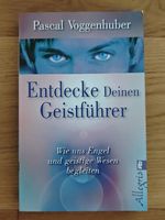 Pascal Voggenhuber Entdecke deinen Geistführer 