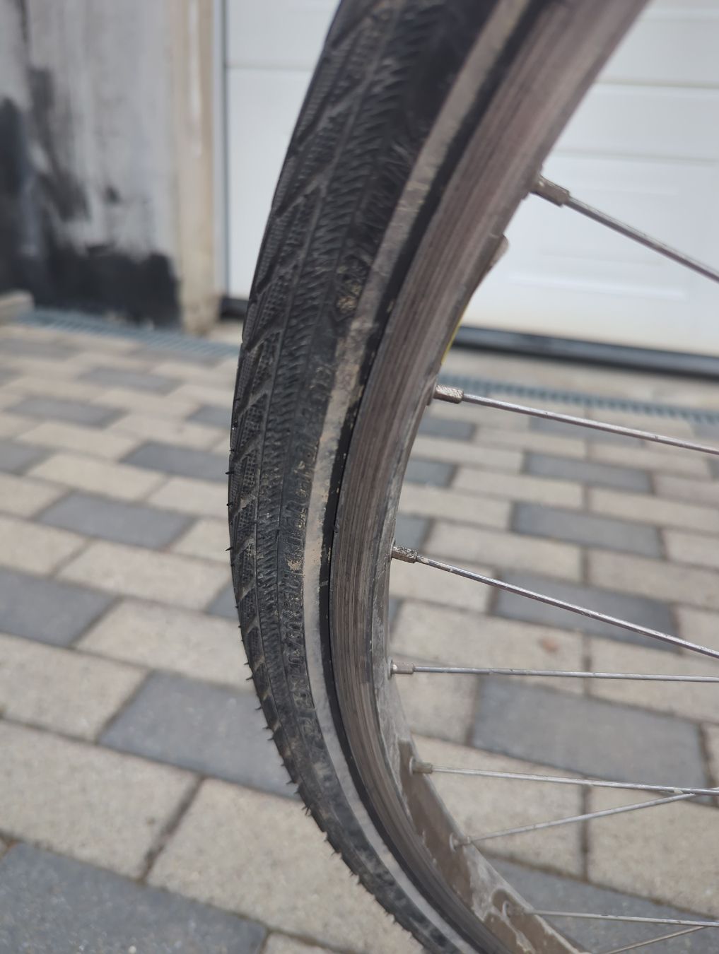 Cilo Biciclette: Damen Velo/ Fahrrad – Usato da Rafz venduto da Zwaetschge80 3