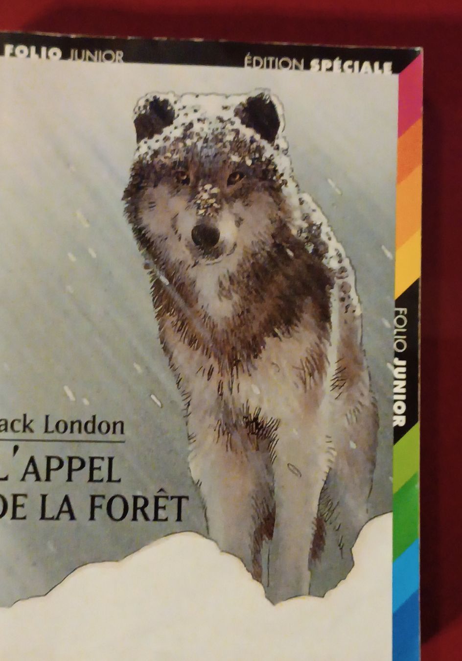 Bücher: L'Appel de la forêt - Jack London - Folio Junior – Gebraucht aus Cornaux NE von Mimi983