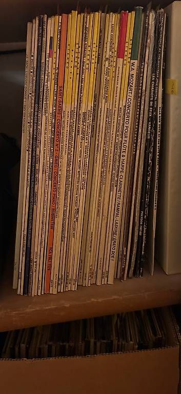 Dischi in vinile: Disques 300 Vinyles divers – Usato da Genève venduto da rap_s5hg