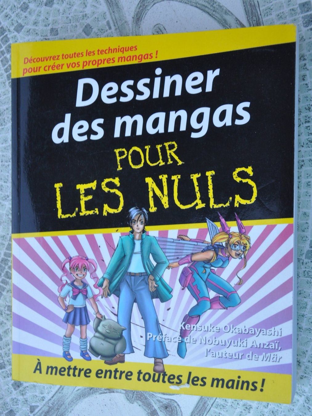 Bücher: Dessiner des mangas pour les nuls – Gebraucht aus Fully von Minouchka