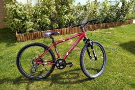 Trek Jugendvelo 24''