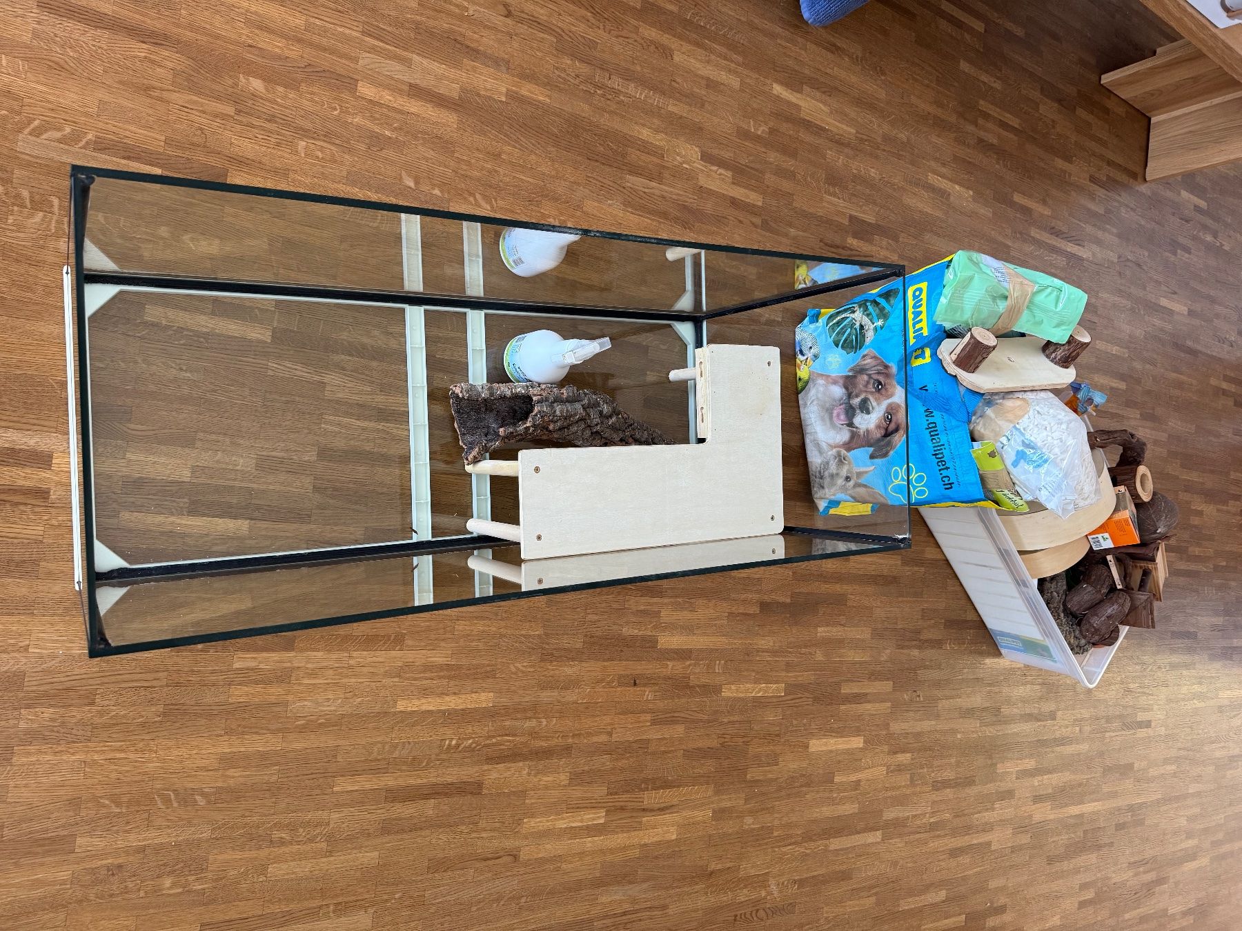 Gabbie, trasporto & Sicurezza: Hamster-Gehege/Terarium mit Accessoires. – Usato da Herrenschwanden venduto da Frenur 1
