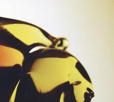 Hooray For Earth - True Loves (Digipack)