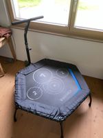 Hammer Cardio Trampolin, wenig gebraucht, mit Haltegriff!