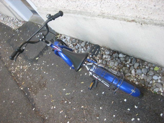 Leopard Biciclette: Kinderfahrrad Leopard Fly Cat 16 Zoll – Usato da Winterthur venduto da pf02 4