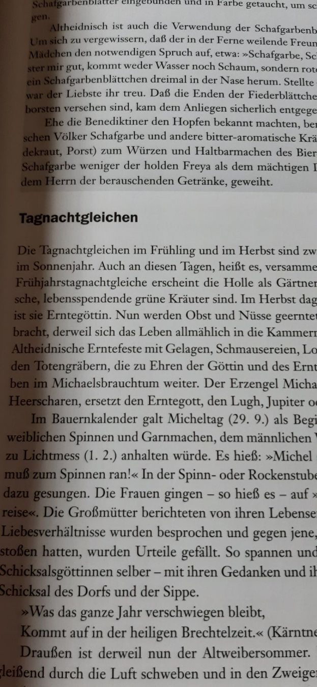 Livres: Wolf Dieter Storl- Hexenmedizin – D'occasion à Doppleschwand par Sandrafritz 1