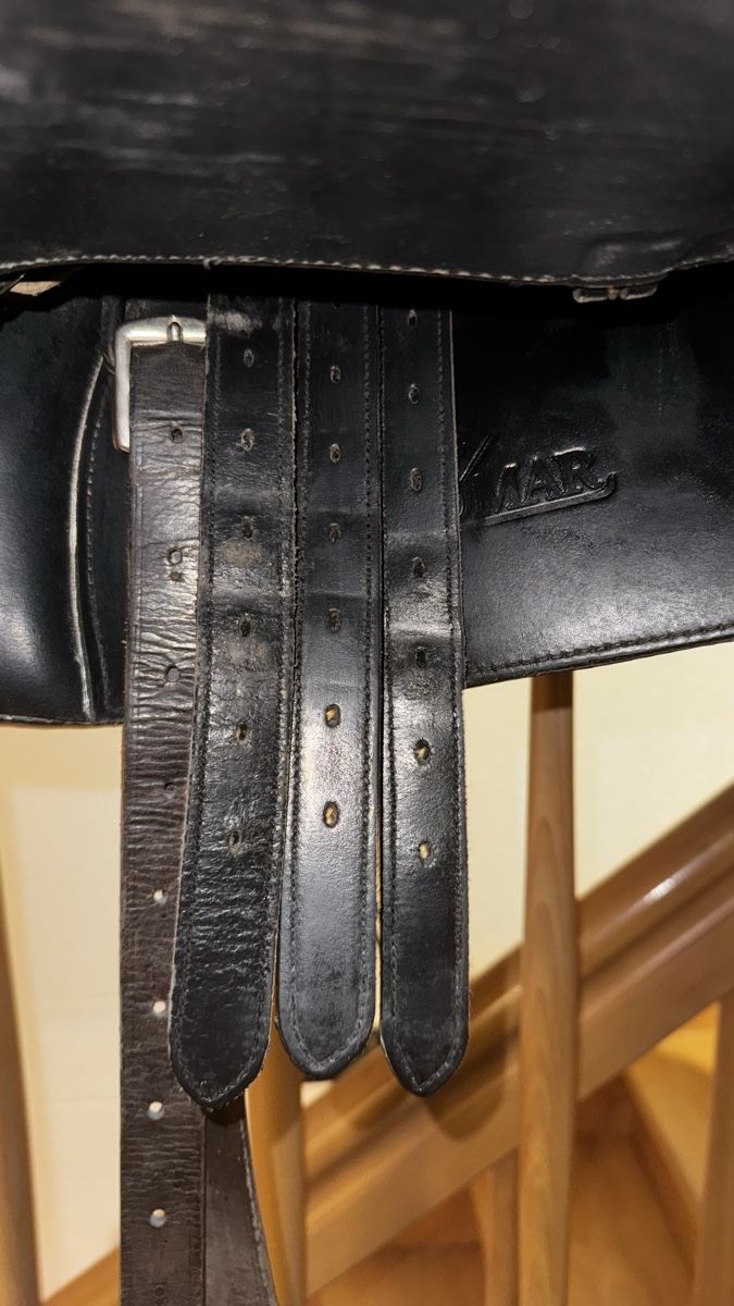 Sattel & Sattelzubehör: Ludomar Sattel – Gebraucht aus Ohmstal von Aaliyah_ 1