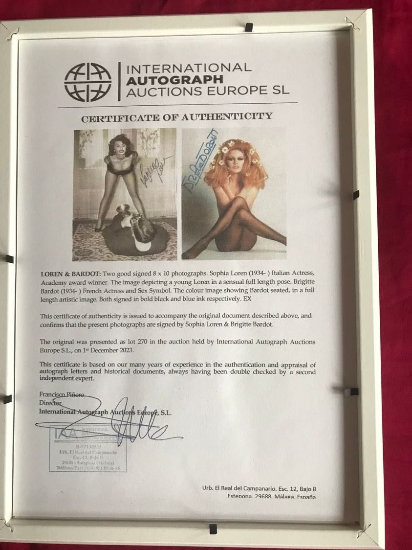 Autografi: BRIGITTE BARDOT  handsigniertes & eingerahmtes Grossfoto COA – Usato da Stallikon venduto da Hollywood7 3