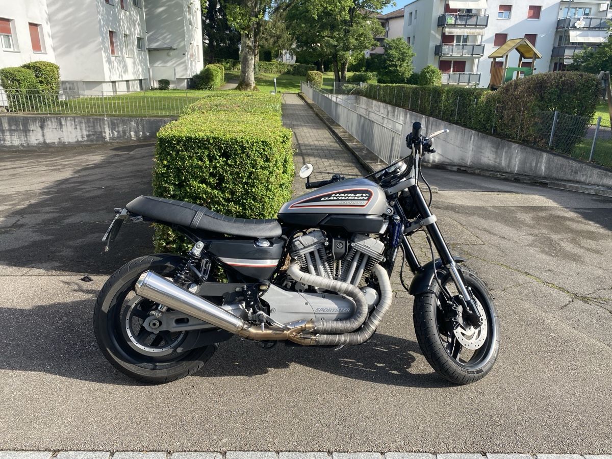 Harley-Davidson Chopper: Harley-Davidson XR1200 – Usato da Rümlang venduto da Capristo069