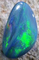 Australische Opal Shell Fossil Dublette 3.70Cts.