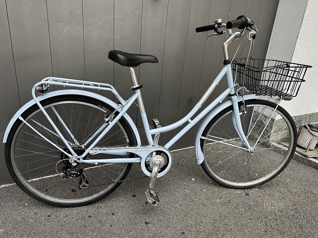 Biciclette: Bicicletta da donna Vintage 28  – Usato da Quartino venduto da DiloUsato 2