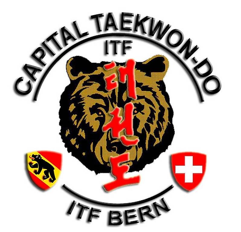 Kimono: TAEKWON-DO – Usato da Bern venduto da swi_7bq8 1
