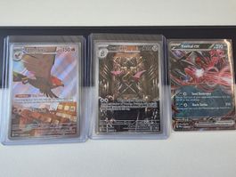 Pokémon / Perfekt Order EN