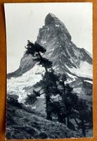 Zermatt - Le Cervin - 1929 - Photo E. Gyger