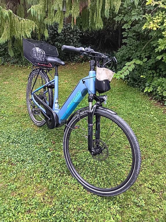 Wheeler Biciclette: E-bike Wheeler 250 W – Usato da Homburg venduto da 731955 2