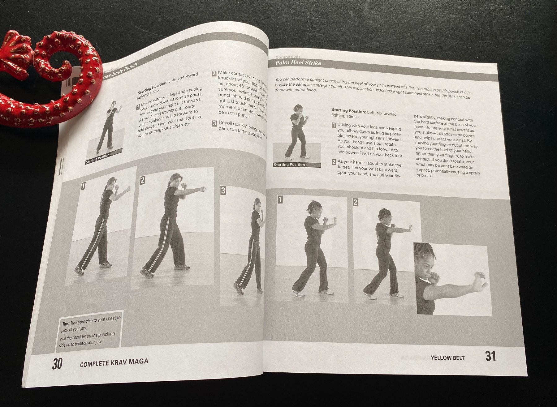 Libri: Krav Maga - Die ultimative Selbstverteidigung – Usato da Nussbaumen AG venduto da schuba2000 5