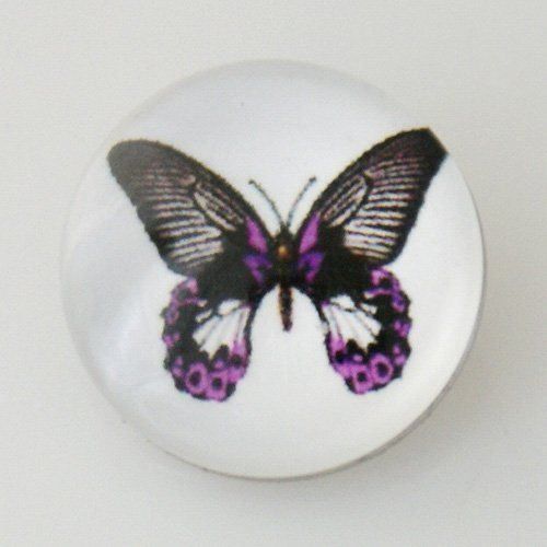 Bottoni: Modeschmuck Snap-Druckknopf | Butterfly7 – Nuovo e nell'imballaggio originale da Reinach BL venduto da PaeperLG