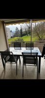 Gartentisch und 4 Stühle Glas schwarz gebraucht