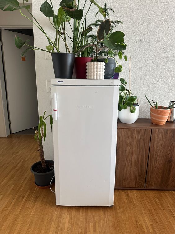 Fabelhafte Gebrauchte Khlschrnke In Der Nhe Bild