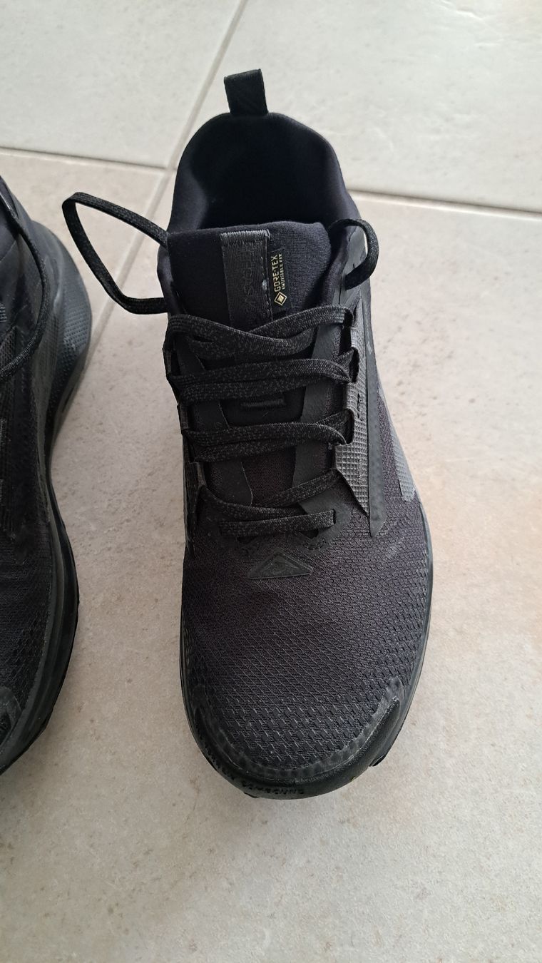 Nike Scarpe da uomo: Nike pegasus gore-tex – Usato da Laufen venduto da mic_k58d
