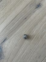 Pandora Charms