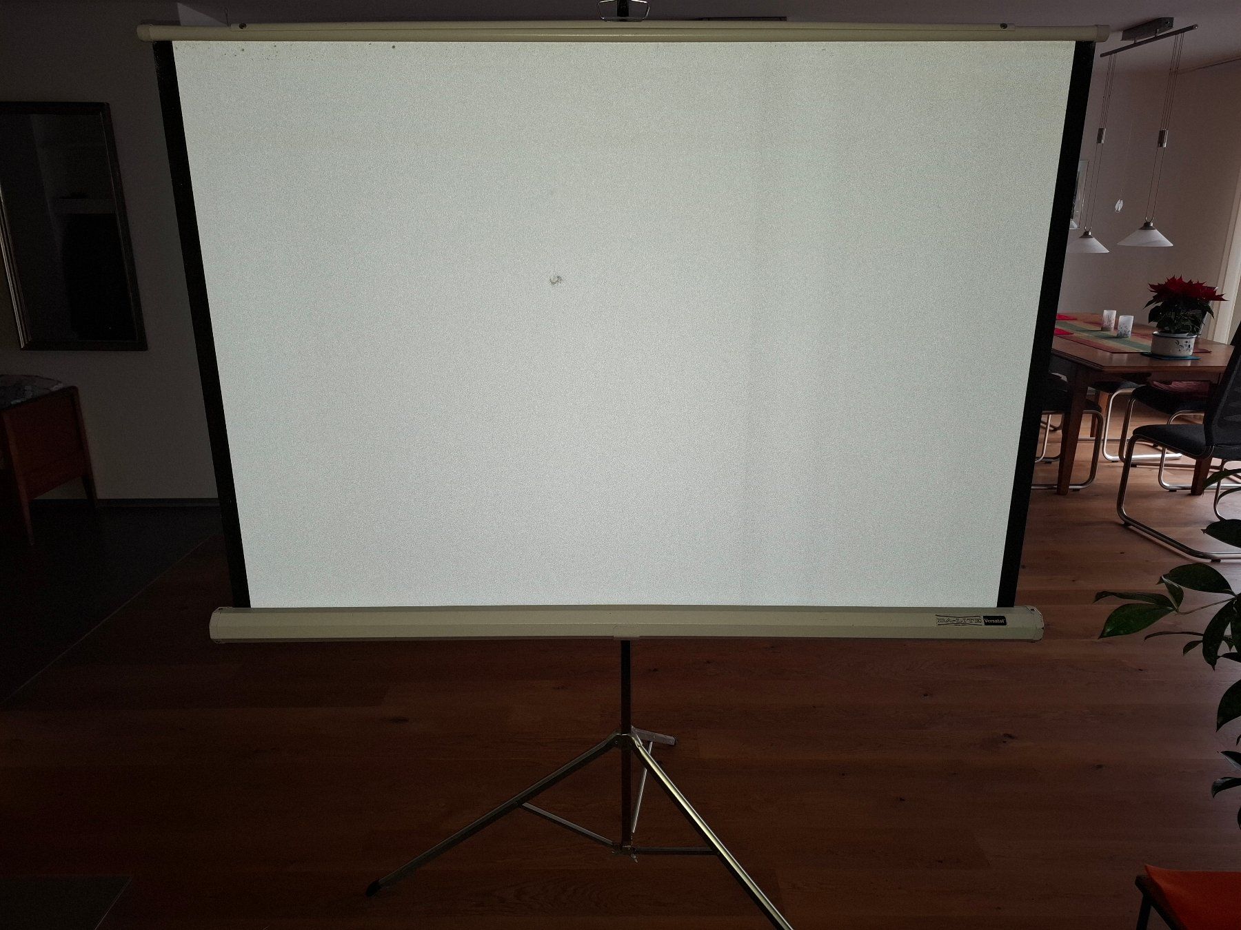 Home Cinema: Projektionswand – Usato da Schwarzenburg venduto da Gantrischpark