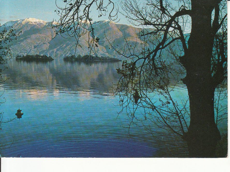 Ansichtskarten: Brissago 1987 – Gebraucht aus Bürglen TG von StampGraf