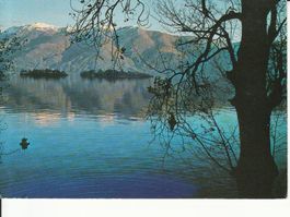 Brissago 1987