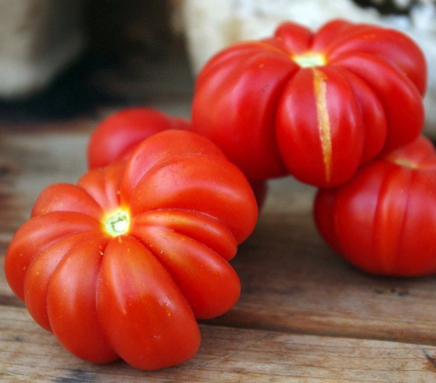 Pflanzen & Samen: 30 Samen ROSSO SICILIAN TOGETTA Tomate – Neu (gemäss Beschreibung) aus Ehrendingen von VerveinaSamen 1