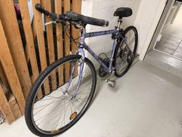 Wheeler Fahrrad violett guter Zustand 28 Zoll