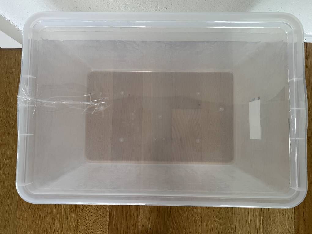 Recipients et similaires: Aufbewahrungsbox mit Deckel – D'occasion à Bern par mon_2lbl 1