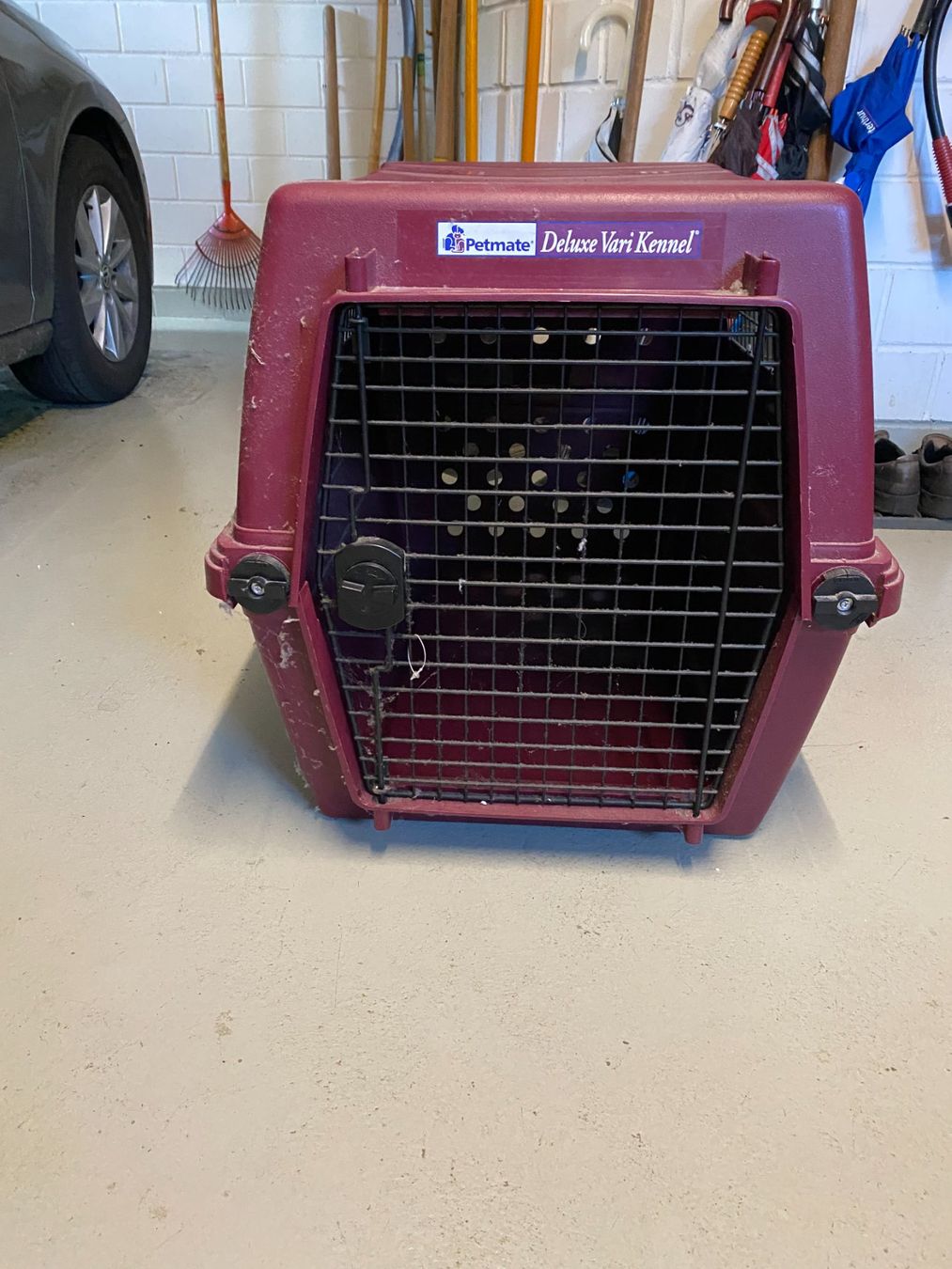 Gabbie, trasporto & Sicurezza: Hunde-Transportbox – Usato da Bettwiesen venduto da Drenny