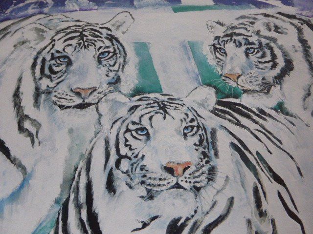 Grafica & Litografie: Rolf Knie 3 weisse Tiger – Usato da Hitzkirch venduto da kleinerbaer01 2