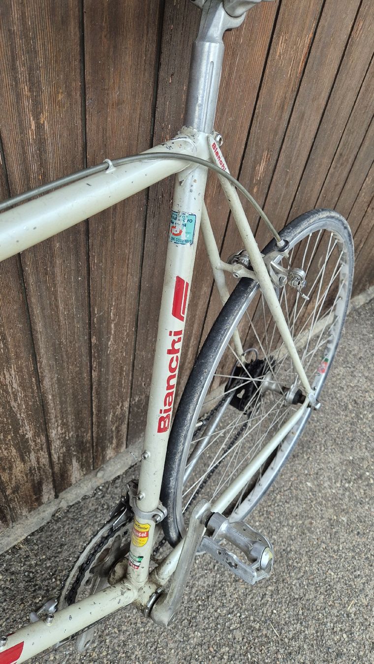 Bianchi Biciclette: Bianchi rennvelo – Usato da Rämismühle venduto da beni0010 1