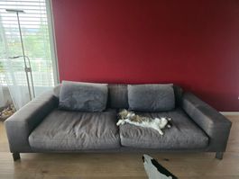 Busnelli Sofa dunkelgrau 3er und 2er gebraucht