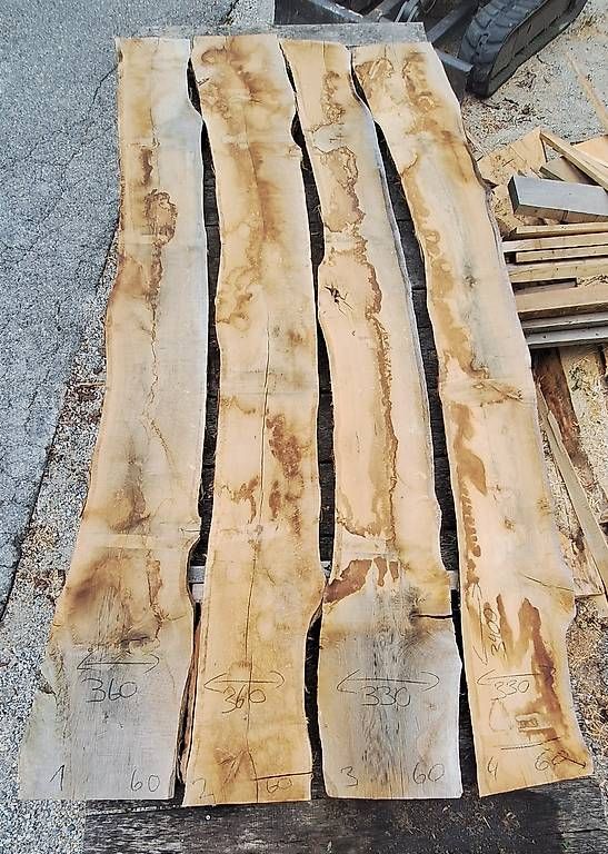 Articoli in legno: Eichenbretter 60mm / 4 Stück / 3,4m / Lufttrocken – Usato da Waldkirch venduto da bauprofi87
