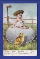 ENFANT - Bébé sur un énorme œuf - Poussin