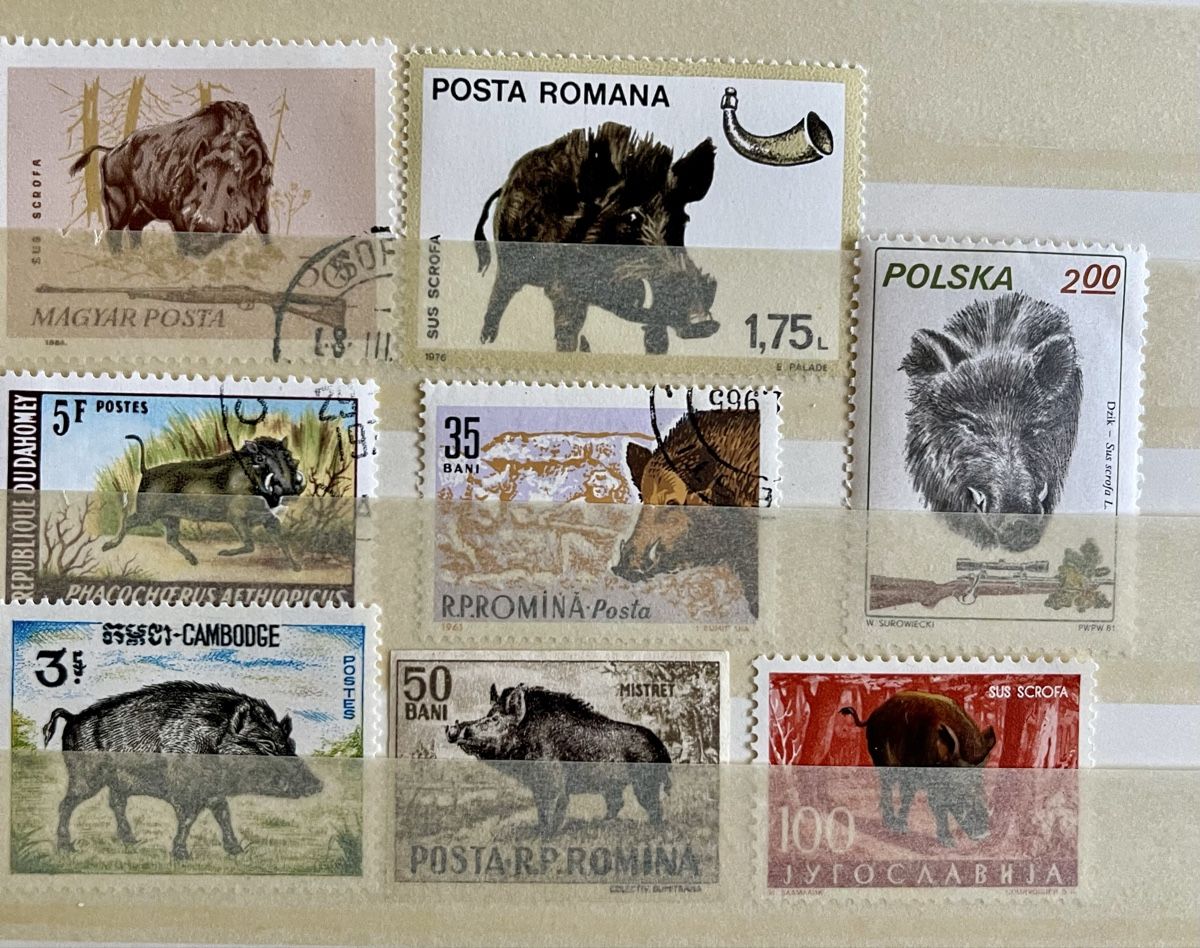 Tous les timbres: Briefmarken mit Wildschweinen – Neuf (Voir description) à Bern par TamSham