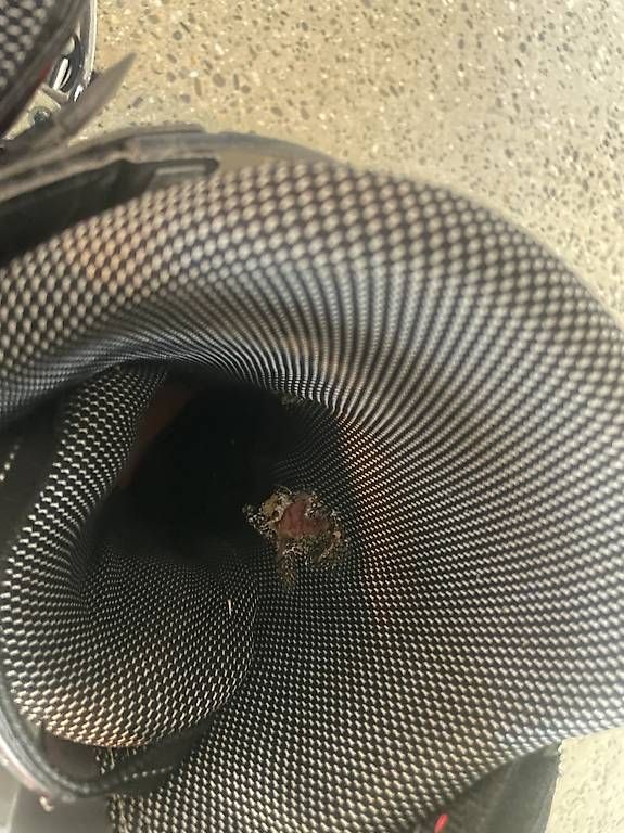 Herrenschuhe: Ski Schuhen – Gebraucht aus Basel von yag2ru 1