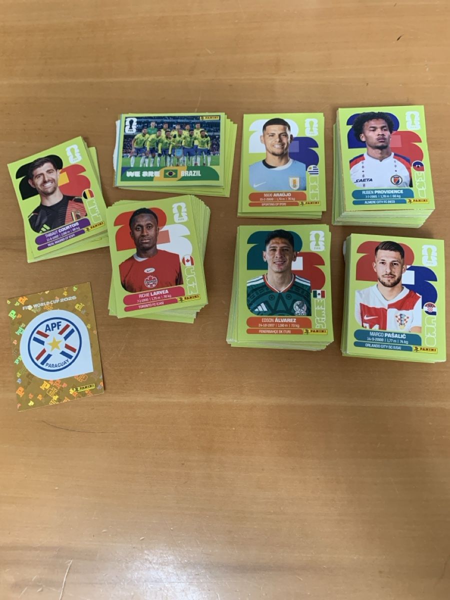Panini Sammelbilder & Trading cards: 250 FIFA Paninis – Gebraucht aus Flüelen von raq.ribeiro 3