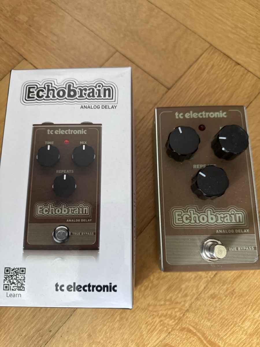 Musikinstrumente: TC Electronic Echobrain Analog Delay Effektpedal  – Gebraucht aus Zürich von jack6str