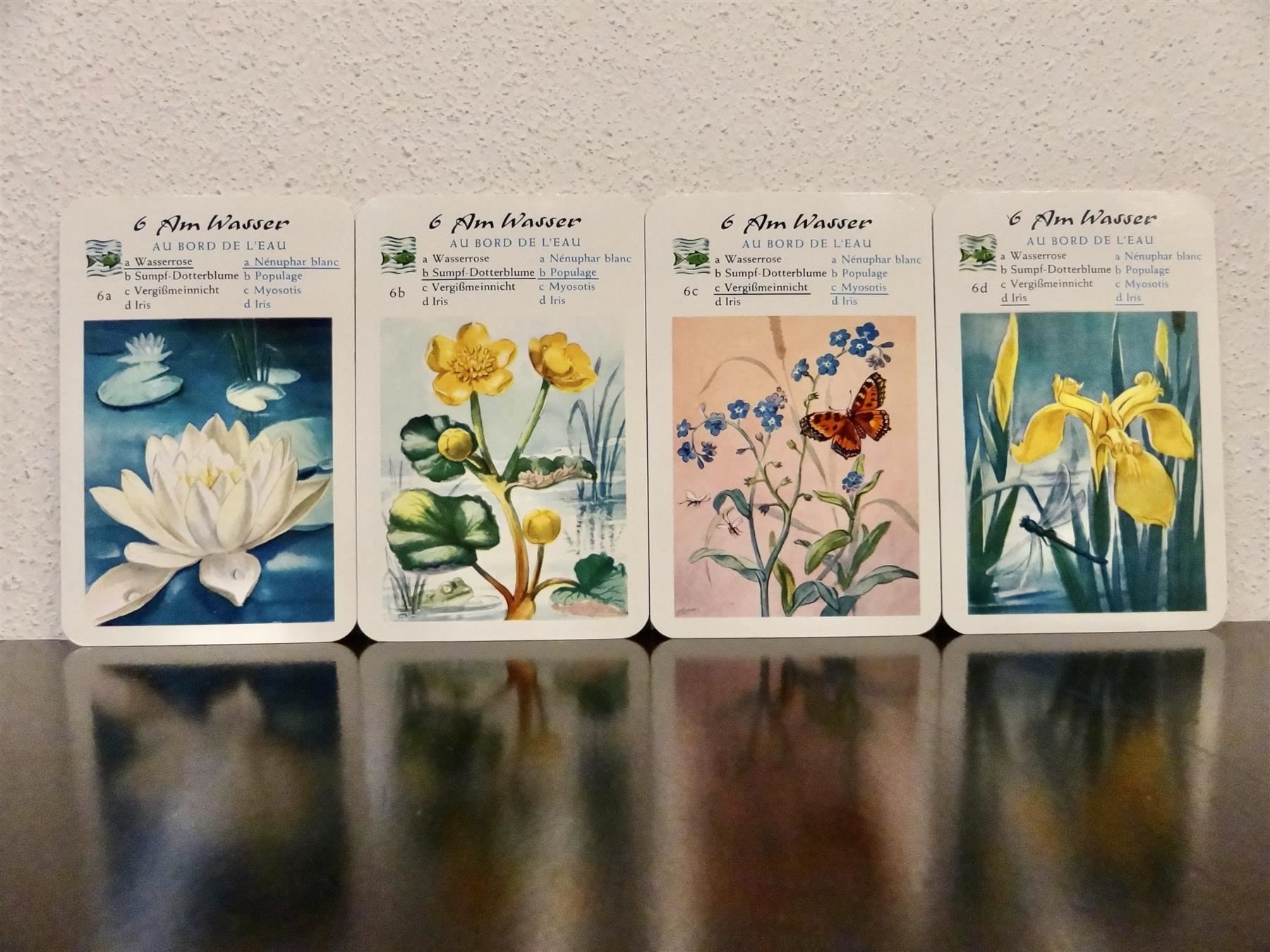 Spiele: altes Quartett BLUMEN-QUARTETT BLUMEN – Gebraucht aus Kerzers von wisaundso 7