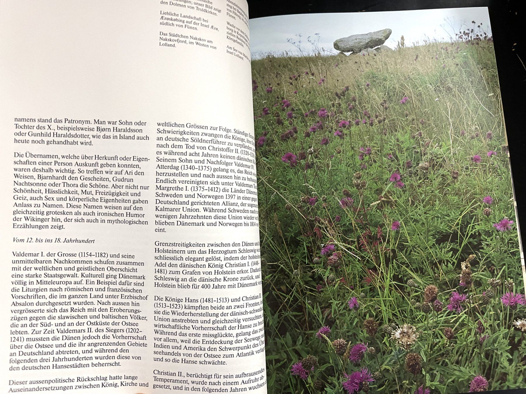 Libri: Silva Verlag, Dänemark, 1993 – Usato da Oftringen venduto da Vucki 2