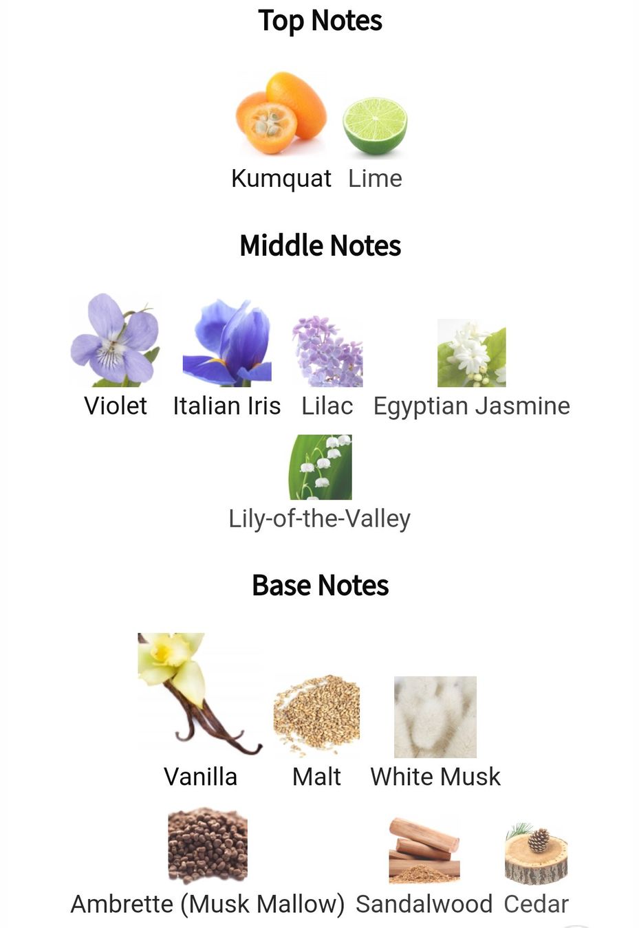 Xerjoff Profumi & Eau de Toilette: 2ml Xerjoff Dama Bianca Muster decant Sample niche – Nuovo (secondo la descrizione) da Steinhausen venduto da nwe_t8nj 1