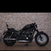 Harley Davidson Iron 883n