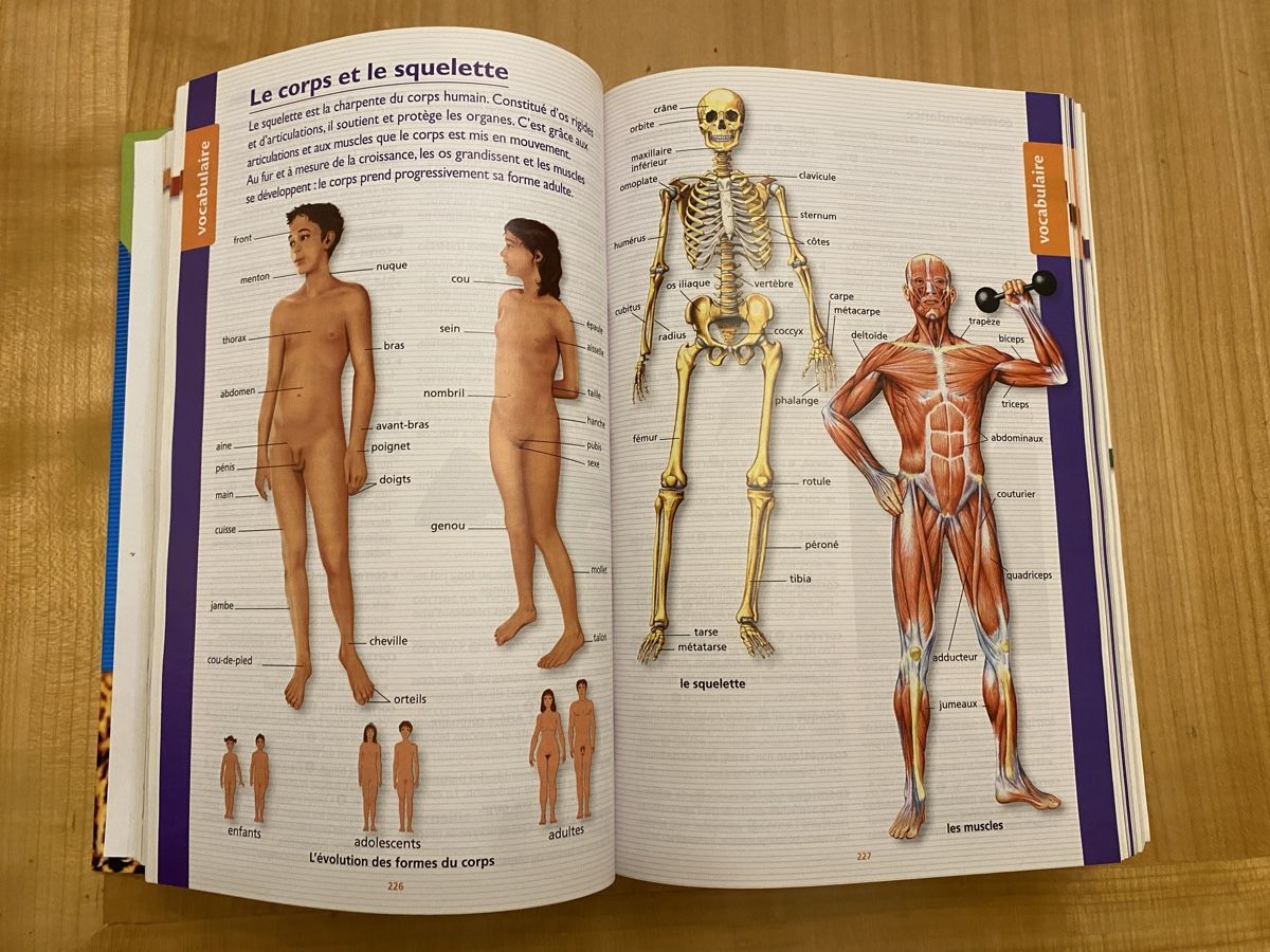 Libri: Dictionnaire 7-11 ans – Nuovo (secondo la descrizione) da sion venduto da ckmoi01 2