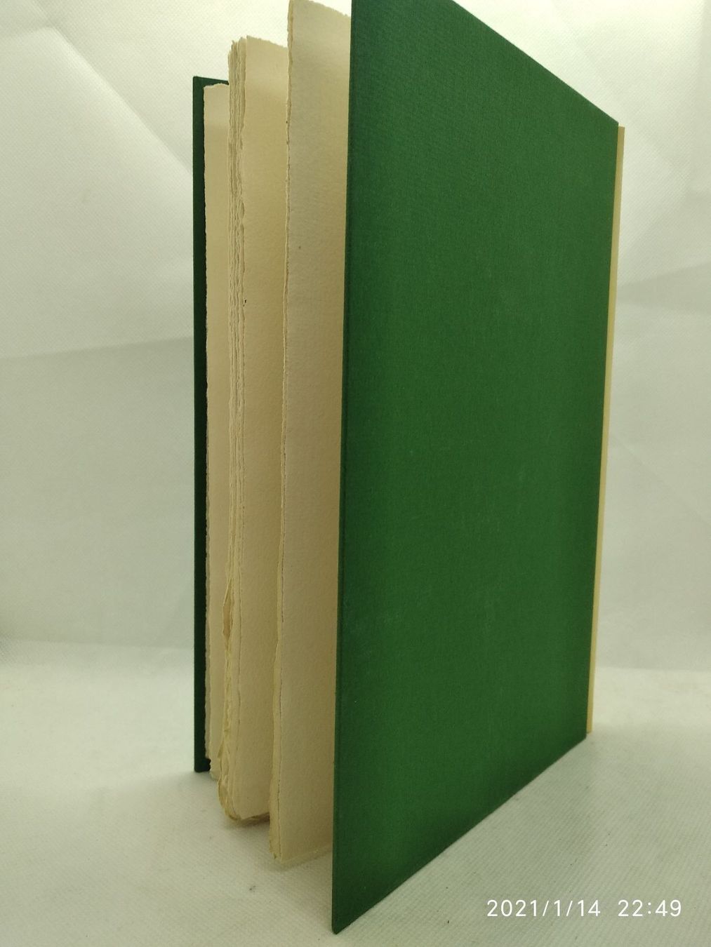 Grafica & Litografie: HEINRICH BINDER - MAX RYCHNER – Usato da Goldach venduto da Gaip 2